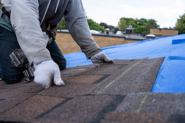 Best Commercial Roofing Services  in Frankton, IN