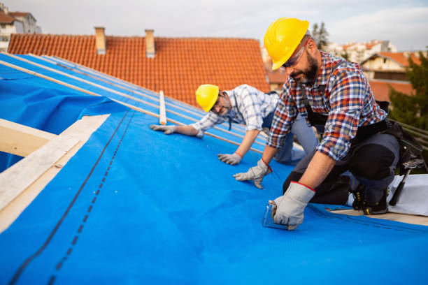 Best Roof Leak Repair  in Frankton, IN