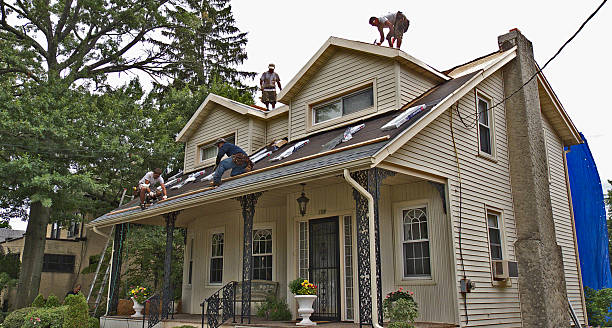 Best Roof Gutter Cleaning  in Frankton, IN