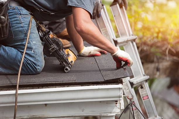 Best Roof Waterproofing Services  in Frankton, IN